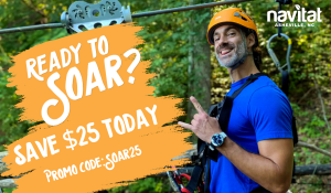 This image is by Navitat.